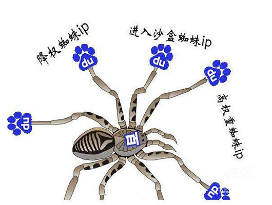 搜索引擎spider抓取过程中的策略