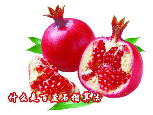 百度算法汇总二：石榴算法