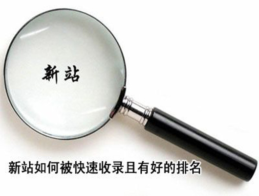 新站收录